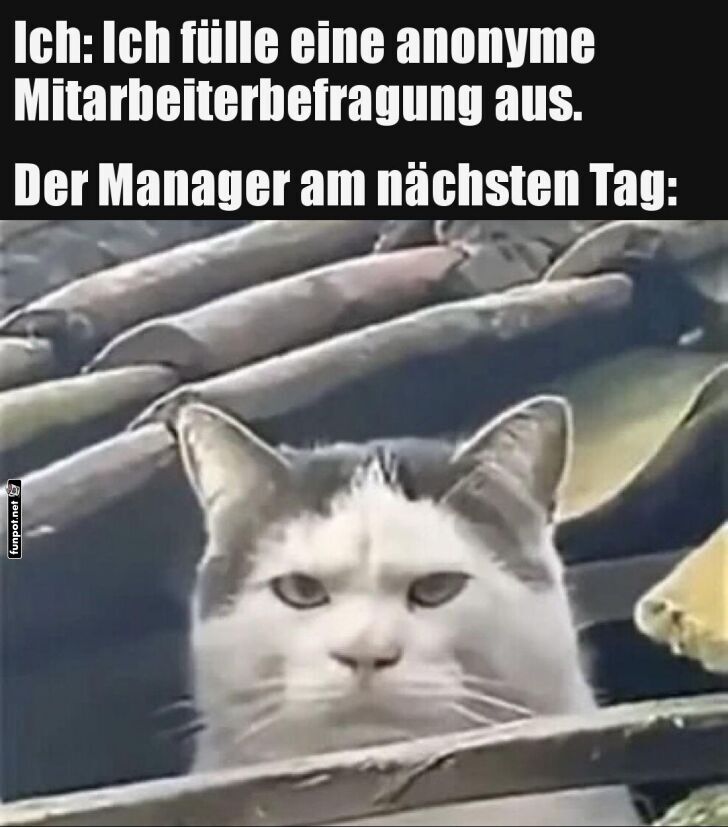Wenn Blicke Fragebögen entlarven Wenn Blicke Fragebögen entlarven