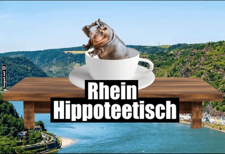 Flusspferd im Kaffee - Rhein-Wahnsinn! Flusspferd im Kaffee - Rhein-Wahnsinn!