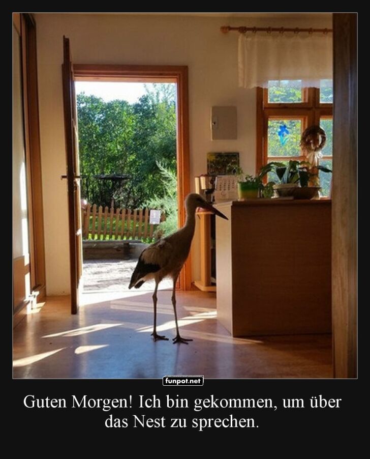 Der Storch als Nestberater