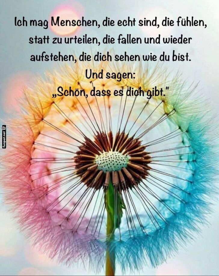 Ich mag Menschen, die echt sind Ich mag Menschen, die echt sind
