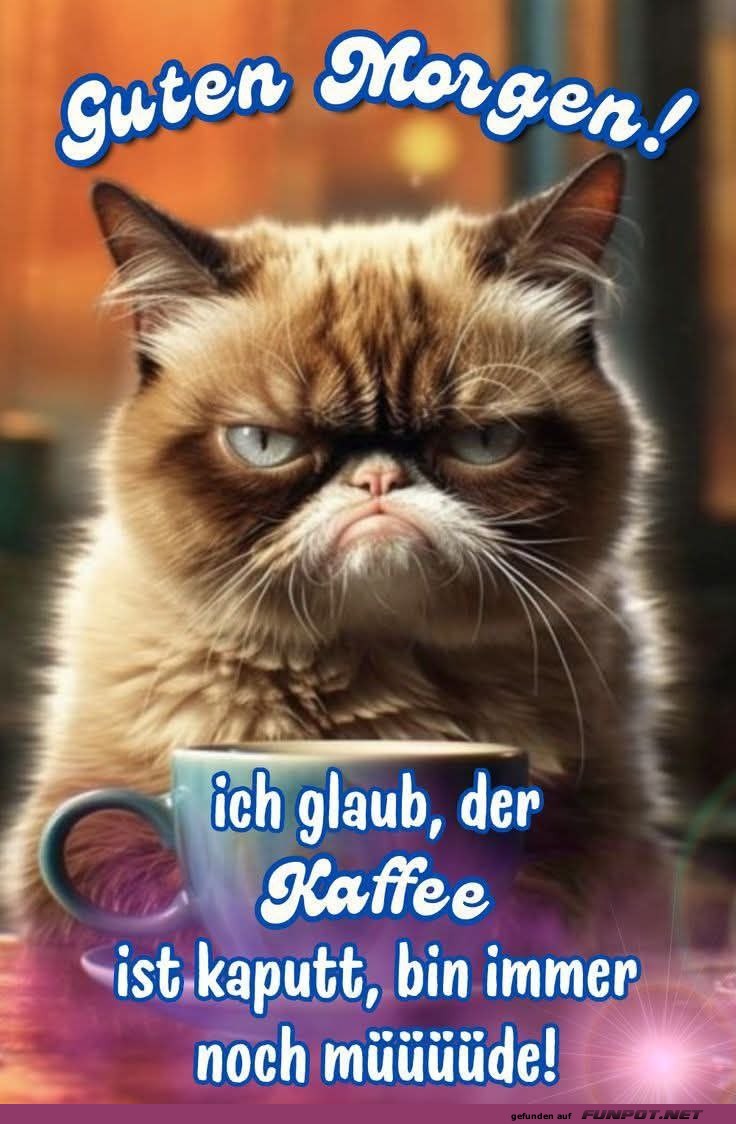 Müde Katze sucht funktionierenden Kaffee Müde Katze sucht funktionierenden Kaffee