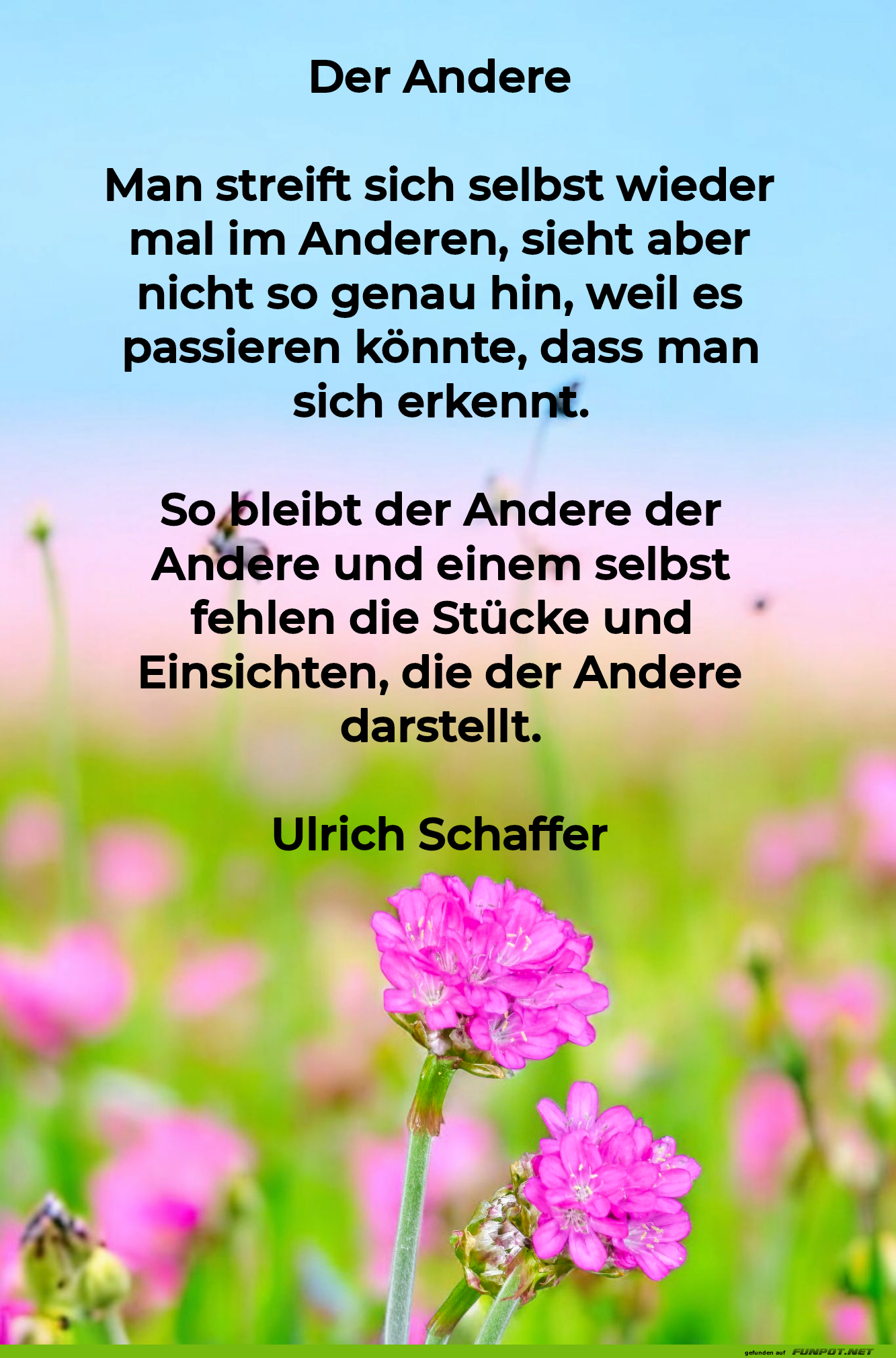 Blumenwiese der Selbsterkenntnis