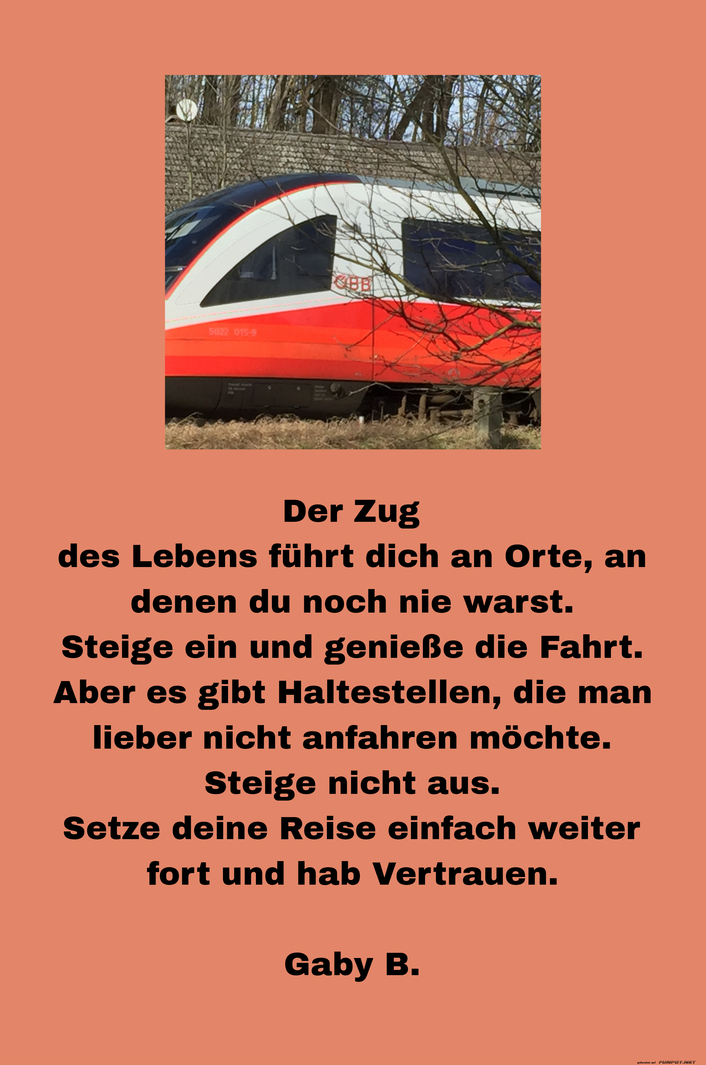 der zug des lebens der zug des lebens