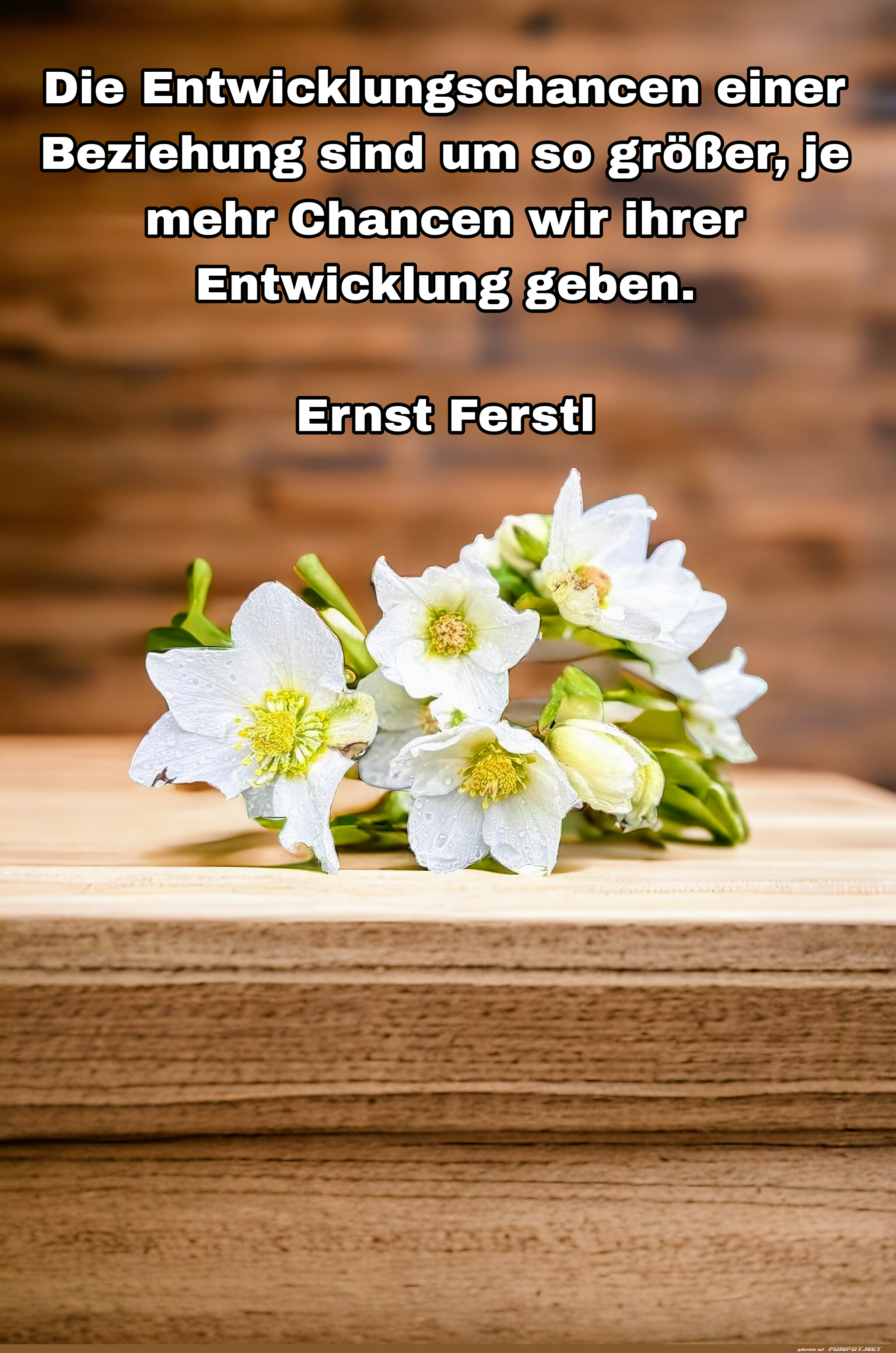 Die Entwicklungschancen Die Entwicklungschancen