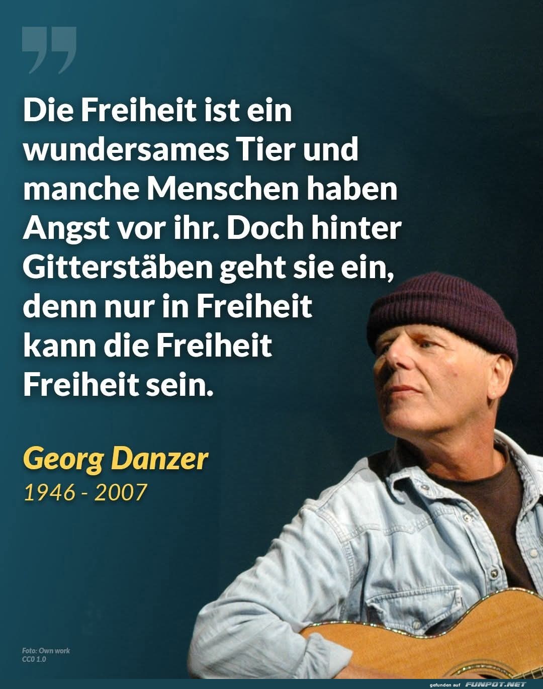 die freiheit ist ein wundersames tier die freiheit ist ein wundersames tier