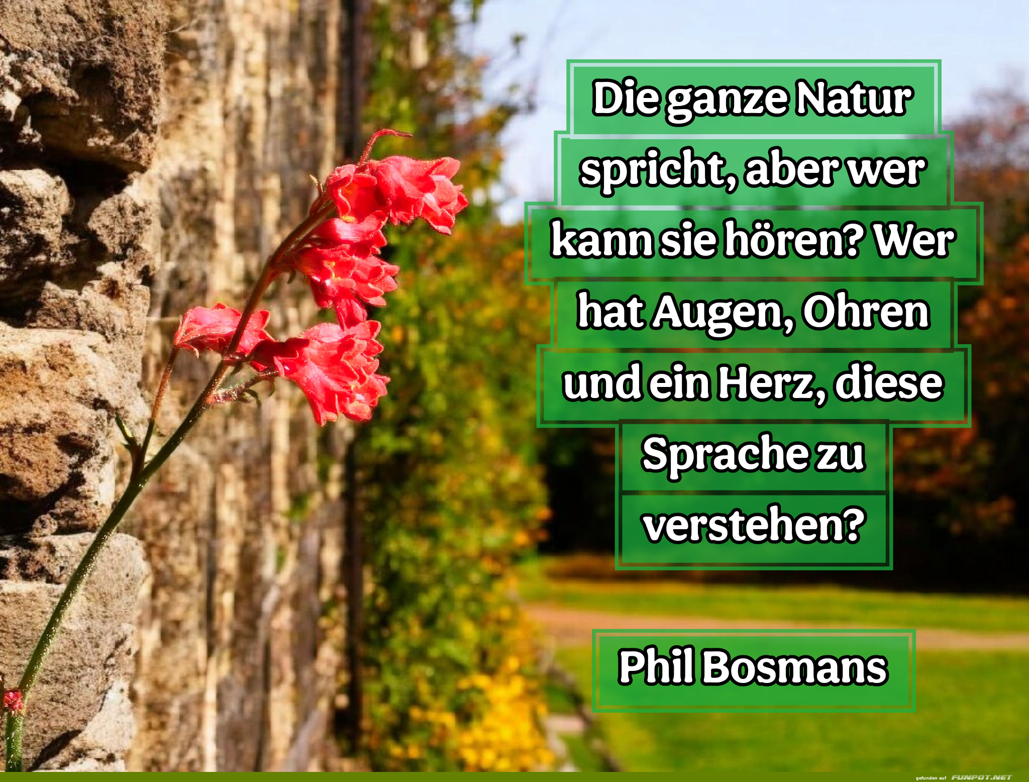 die ganze natur