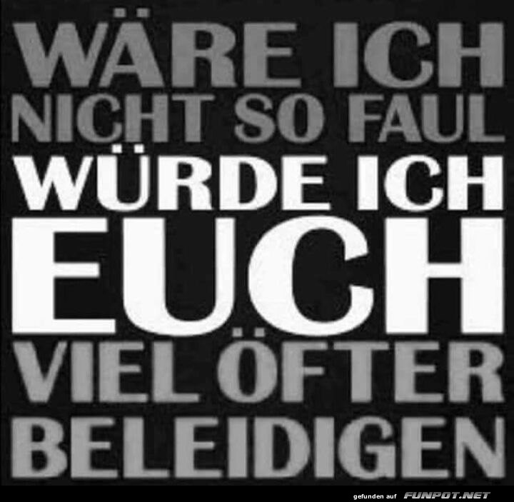 Fauler Beleidigungsprofi! Fauler Beleidigungsprofi!