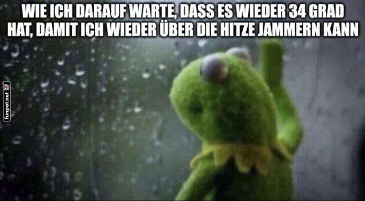 Kermit und das Wetter-Dilemma Kermit und das Wetter-Dilemma