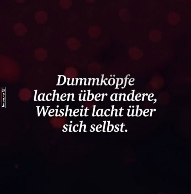 Lach dich weise! Lach dich weise!