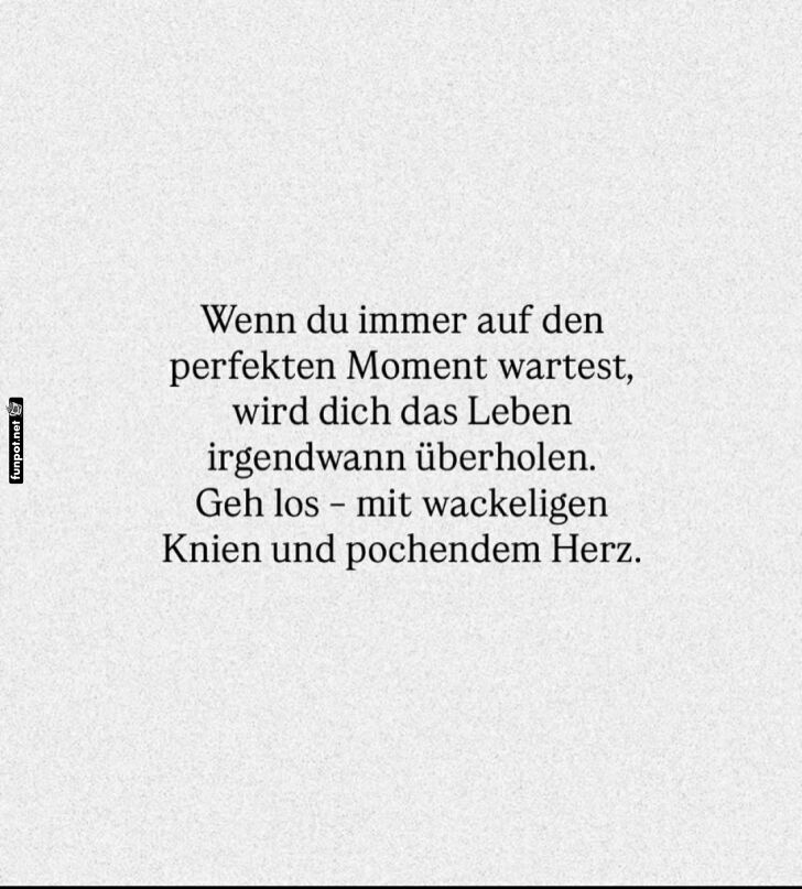 Wackelige Knie, groes Abenteuer voraus!