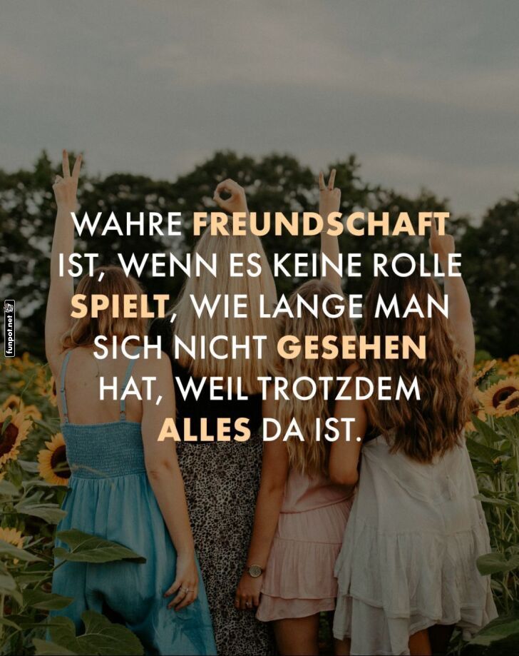 Wenn Freunde wie Sonnenblumen sind Wenn Freunde wie Sonnenblumen sind