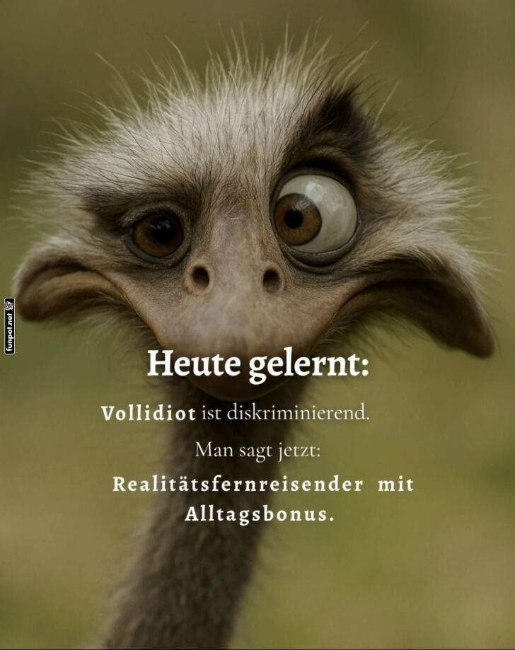 Neues Vokabular für den Alltag! Neues Vokabular für den Alltag!
