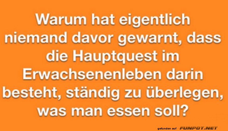 Die unerwartete Lebensquest enthüllt Die unerwartete Lebensquest enthüllt