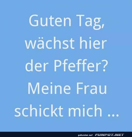 Pfeffersuche - Der Ehewahnsinn beginnt! Pfeffersuche - Der Ehewahnsinn beginnt!