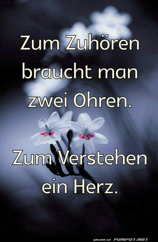 Die Weisheit der zwei Ohren Die Weisheit der zwei Ohren