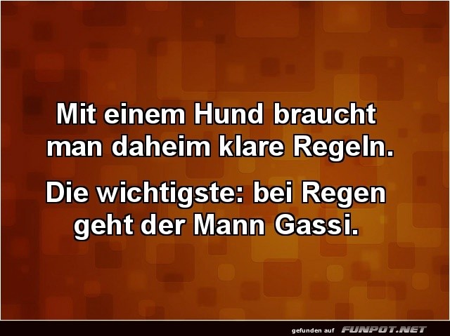 Hundewetter: Mann an die Leine! Hundewetter: Mann an die Leine!