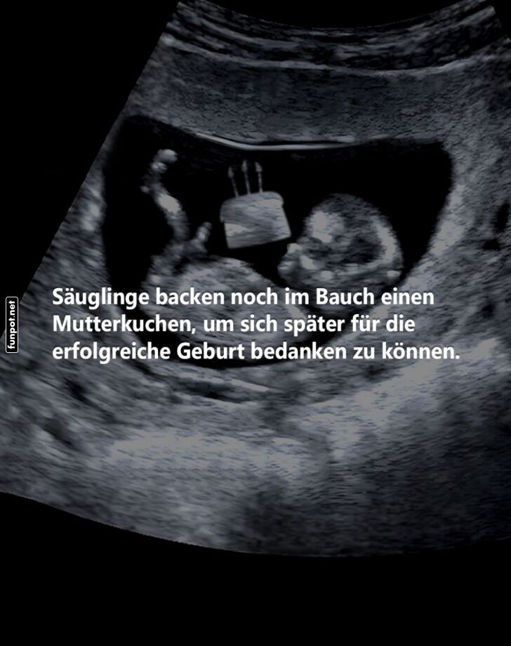Bäcker in der Gebärmutter Bäcker in der Gebärmutter