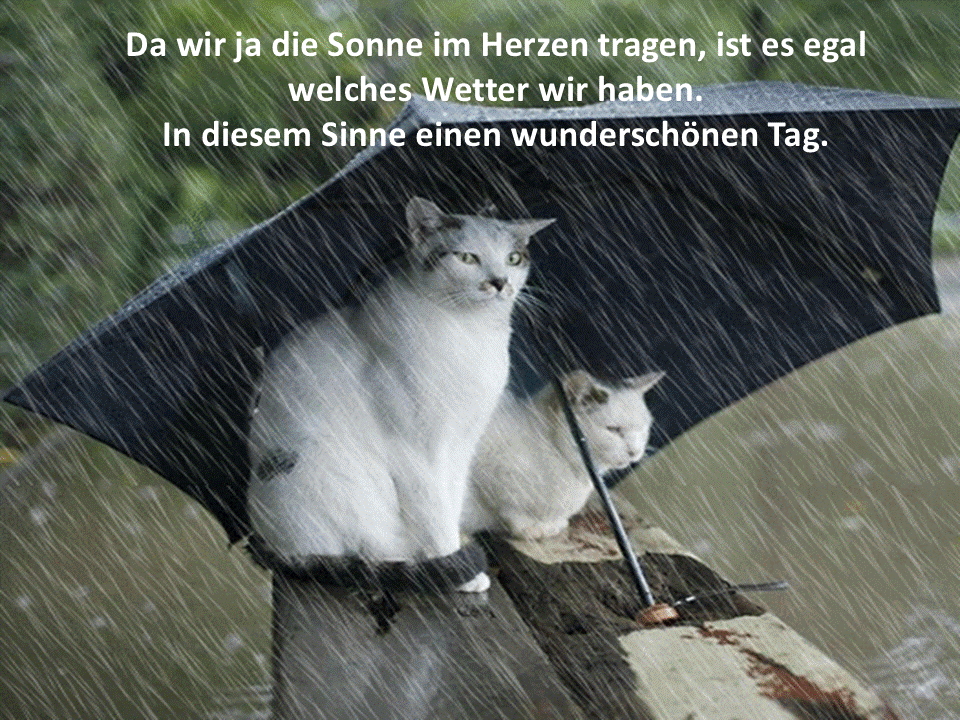 Da wir ja die Sonne im Herzen tragen Da wir ja die Sonne im Herzen tragen