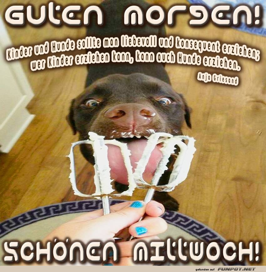 Fröhlicher Start in den Puppymittwoch! Fröhlicher Start in den Puppymittwoch!
