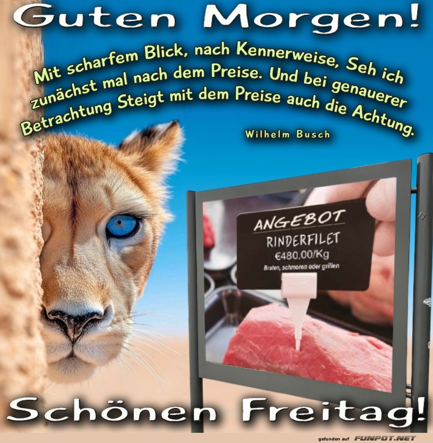 Cleveres Raubtier und teures Filet! Cleveres Raubtier und teures Filet!