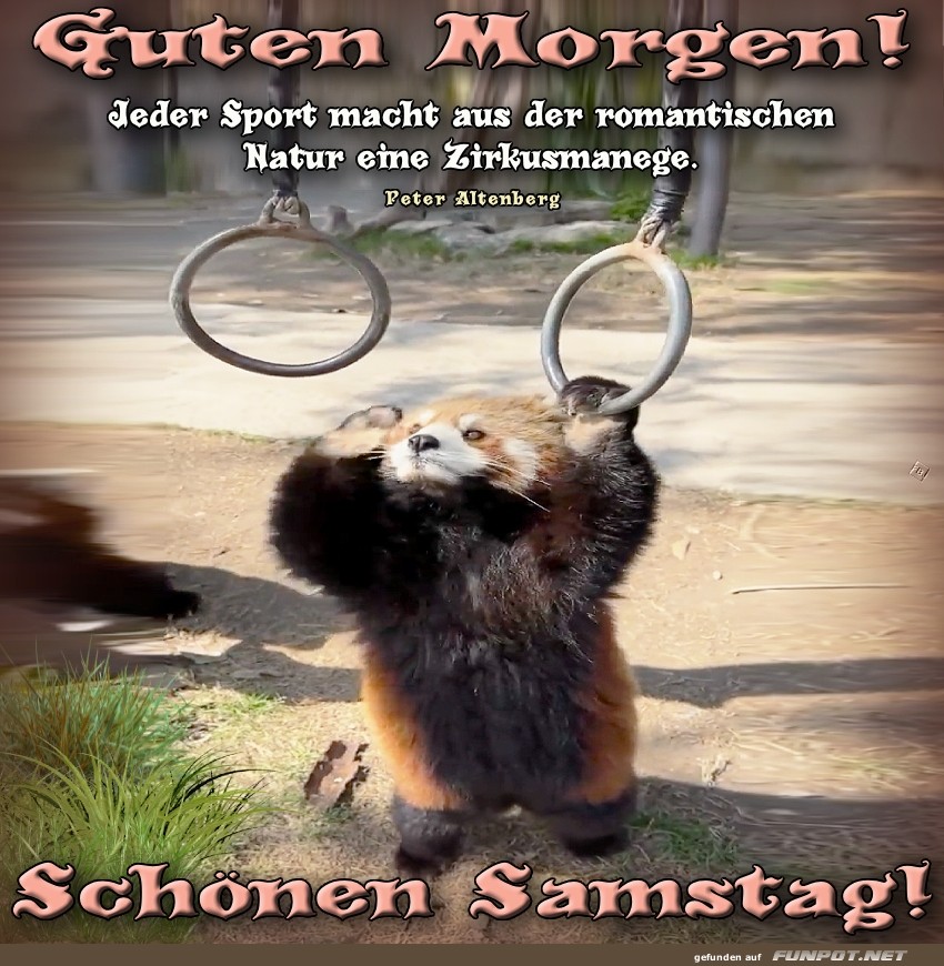 Das ist kein Zirkus, das ist Samstagmorgen! Das ist kein Zirkus, das ist Samstagmorgen!