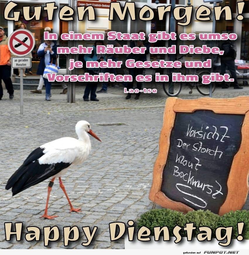 Verspäteter Storch serviert Frühstück! Verspäteter Storch serviert Frühstück!