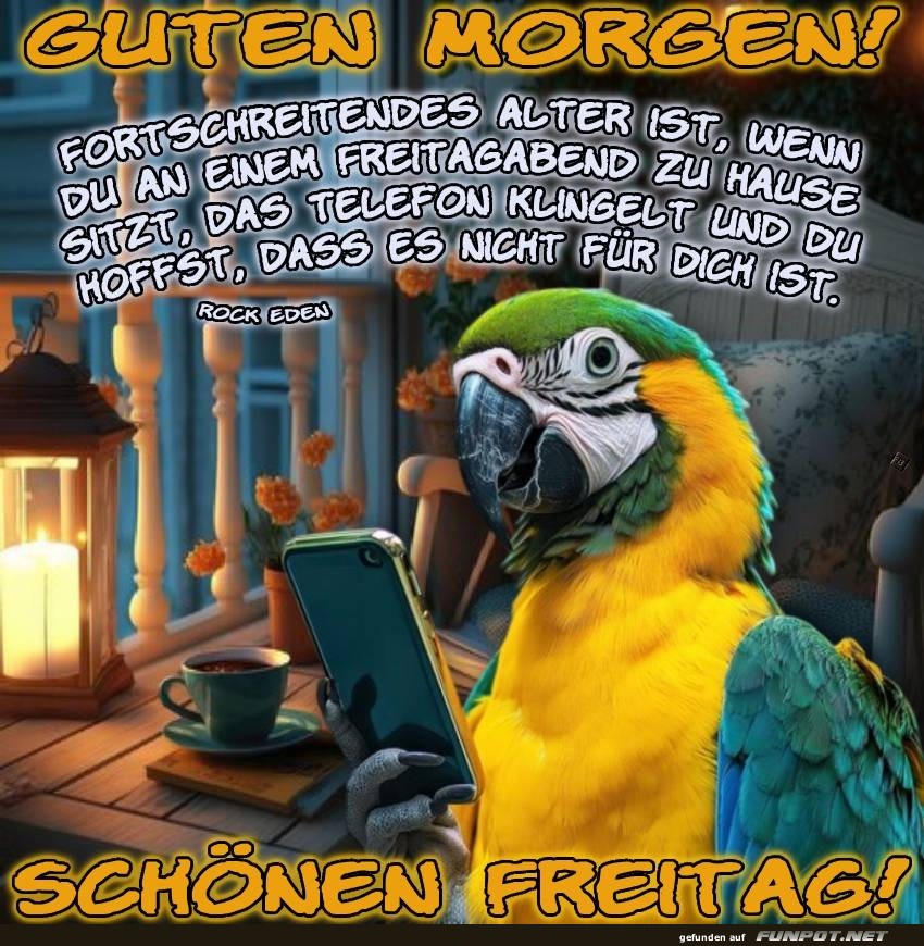 Papagei am Morgen: Klingel-Sorgen! Papagei am Morgen: Klingel-Sorgen!