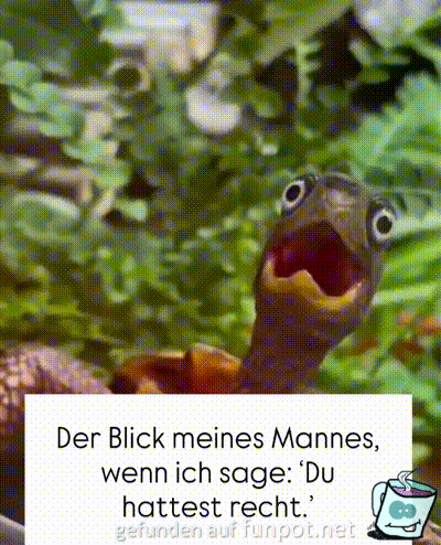 Kann ja kaum sein Kann ja kaum sein