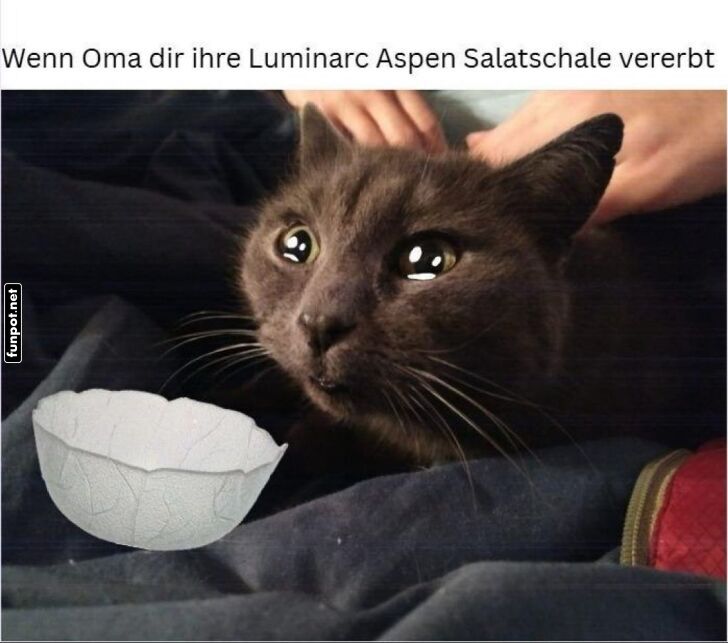 Katzenjammer über Oma's Erbe Katzenjammer über Oma's Erbe