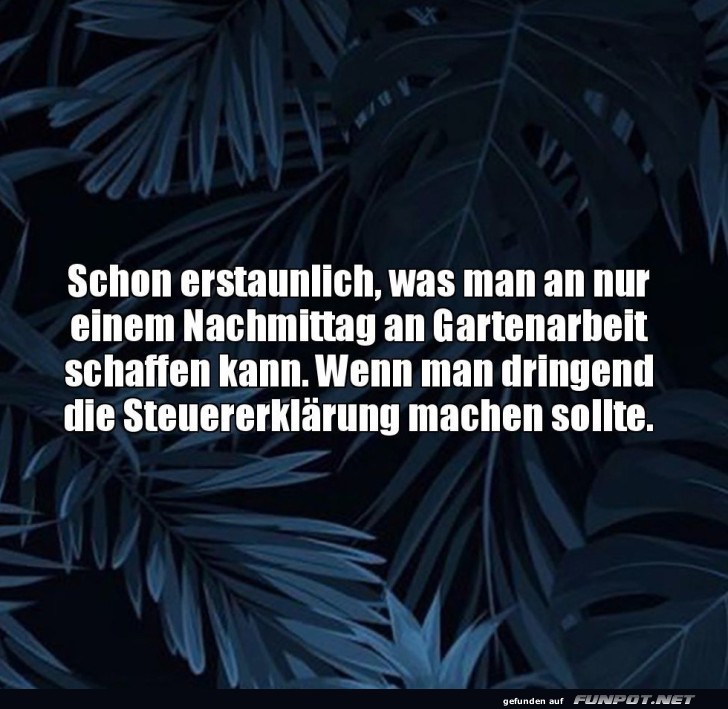 Ein Garten gegen den Steuerstress Ein Garten gegen den Steuerstress