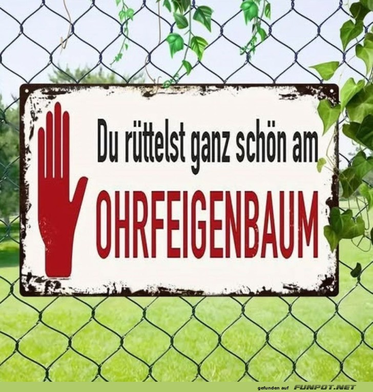 Vorsicht, der Ohrfeigenbaum ruft! Vorsicht, der Ohrfeigenbaum ruft!
