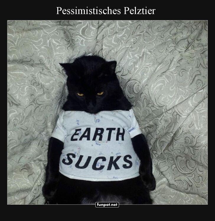 Pelztier im Sinneskrise Pelztier im Sinneskrise