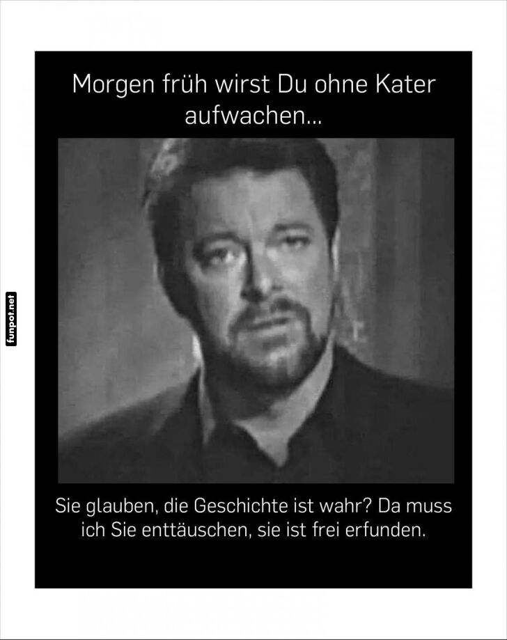 Katerfrei erwachen - ein Traum wird wahr!