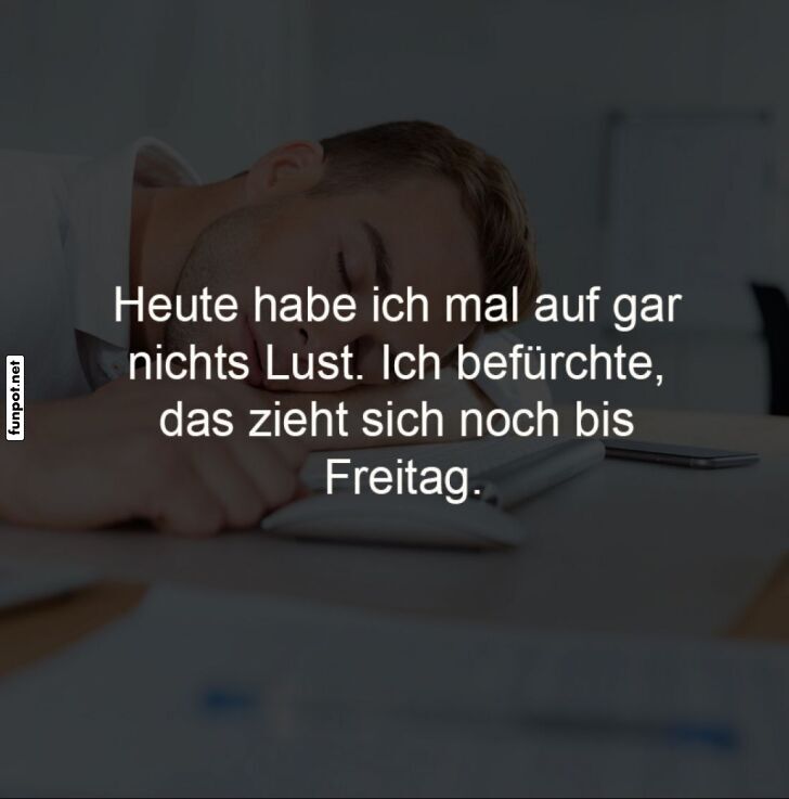 Der Montag-Blues kennt kein Ende! Der Montag-Blues kennt kein Ende!