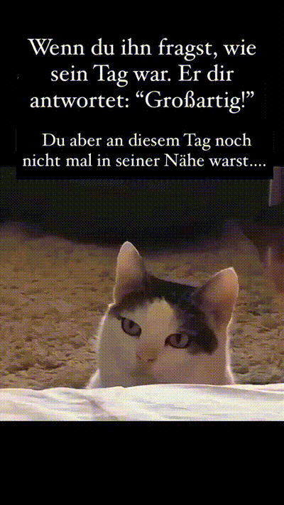 Was erlaubt der sich