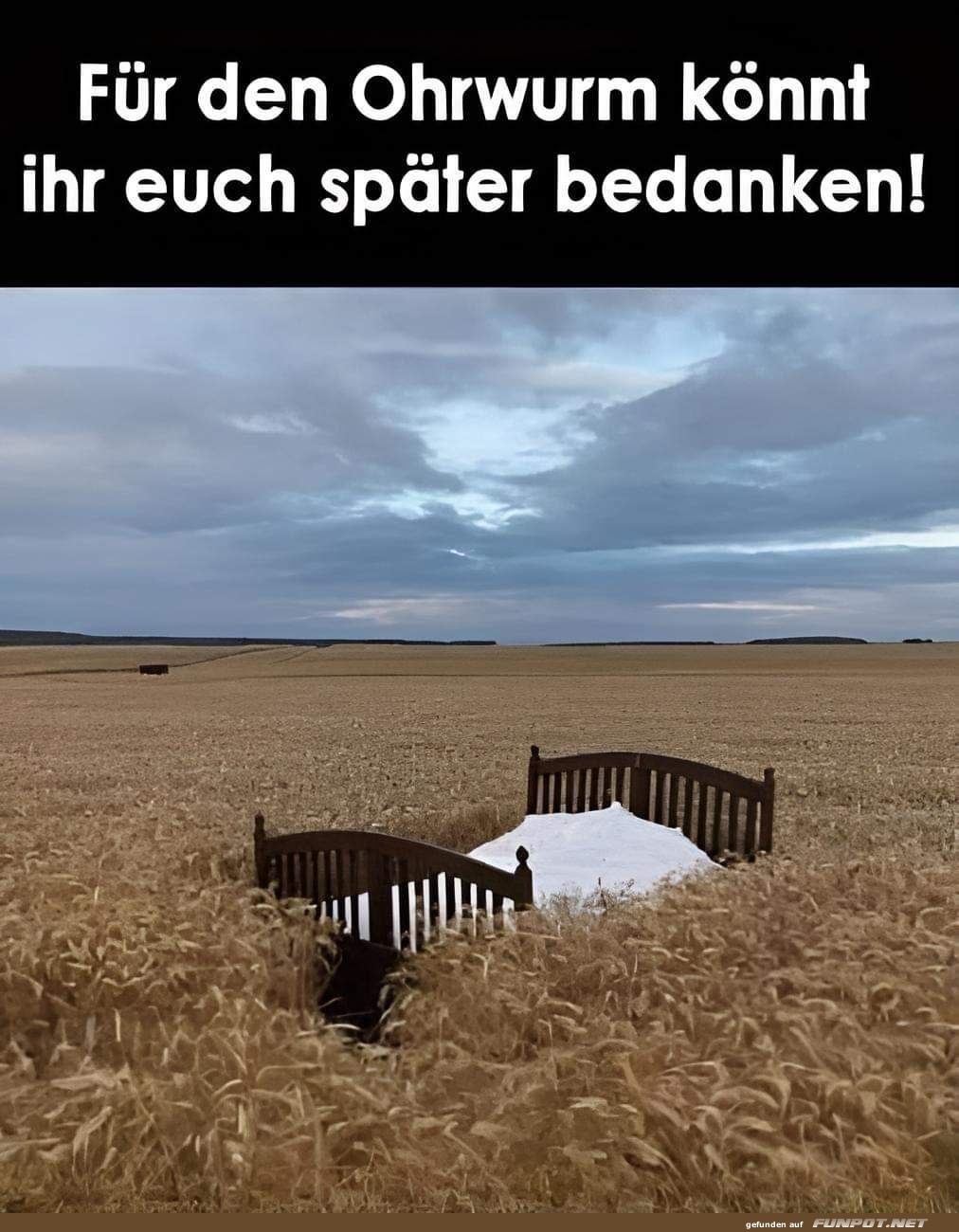 Schlafzimmer mitten im Kornfeld Schlafzimmer mitten im Kornfeld
