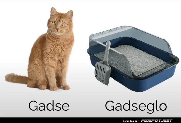 Wenn der Gadse aus dem Gadseglo plaudert! Wenn der Gadse aus dem Gadseglo plaudert!