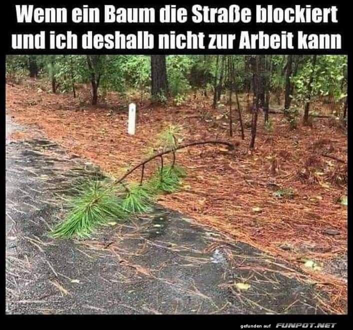 Unberwindbares Hindernis!