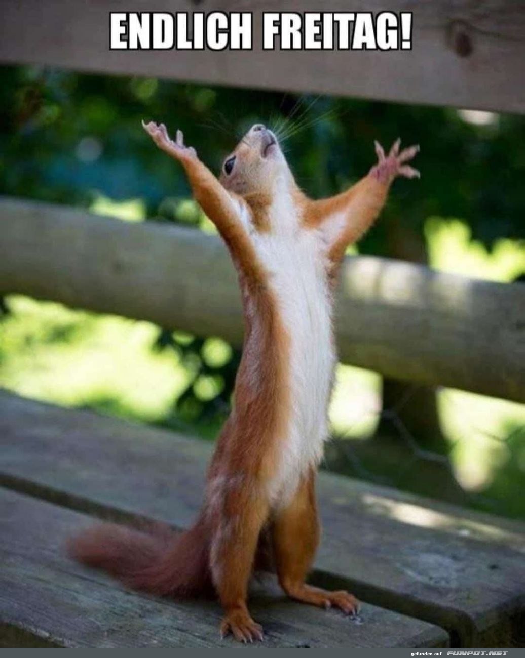 Wenn das Wochenende ruft Wenn das Wochenende ruft