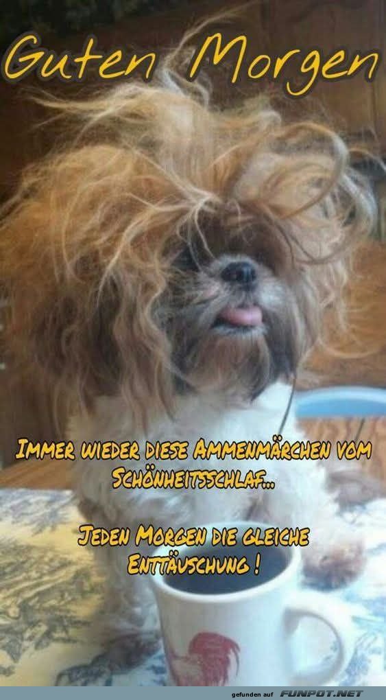 Guten Morgen Haar-Struwwel! Guten Morgen Haar-Struwwel!