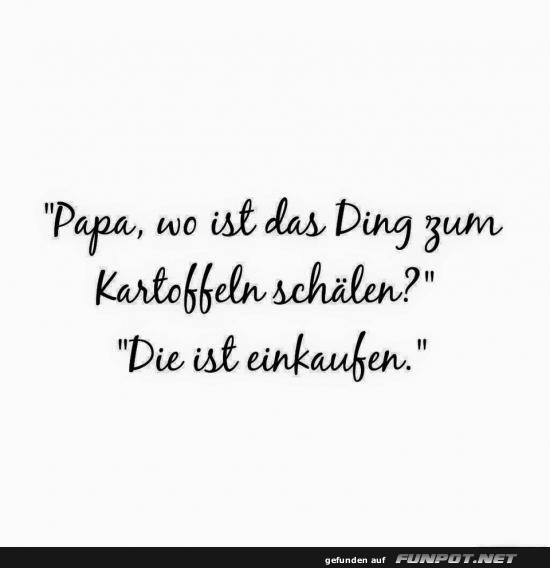 Papa, Hilfe im Haushalt fehlt!