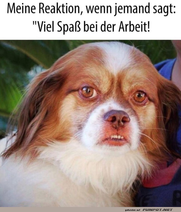Wenn der Job mehr Stirnrunzeln verursacht Wenn der Job mehr Stirnrunzeln verursacht