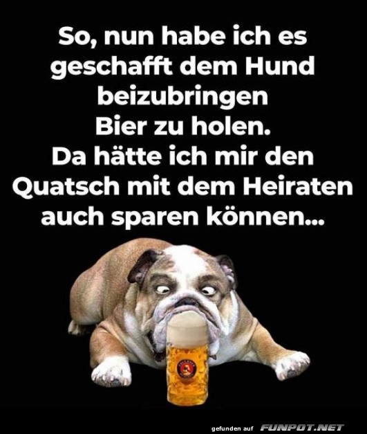 Endlich ein nützlicher Hund! Endlich ein nützlicher Hund!