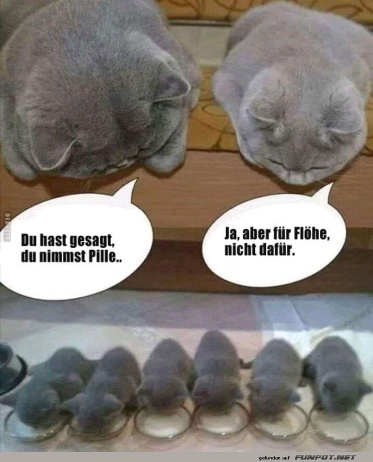 Wenn die Pillen falsch laufen Wenn die Pillen falsch laufen