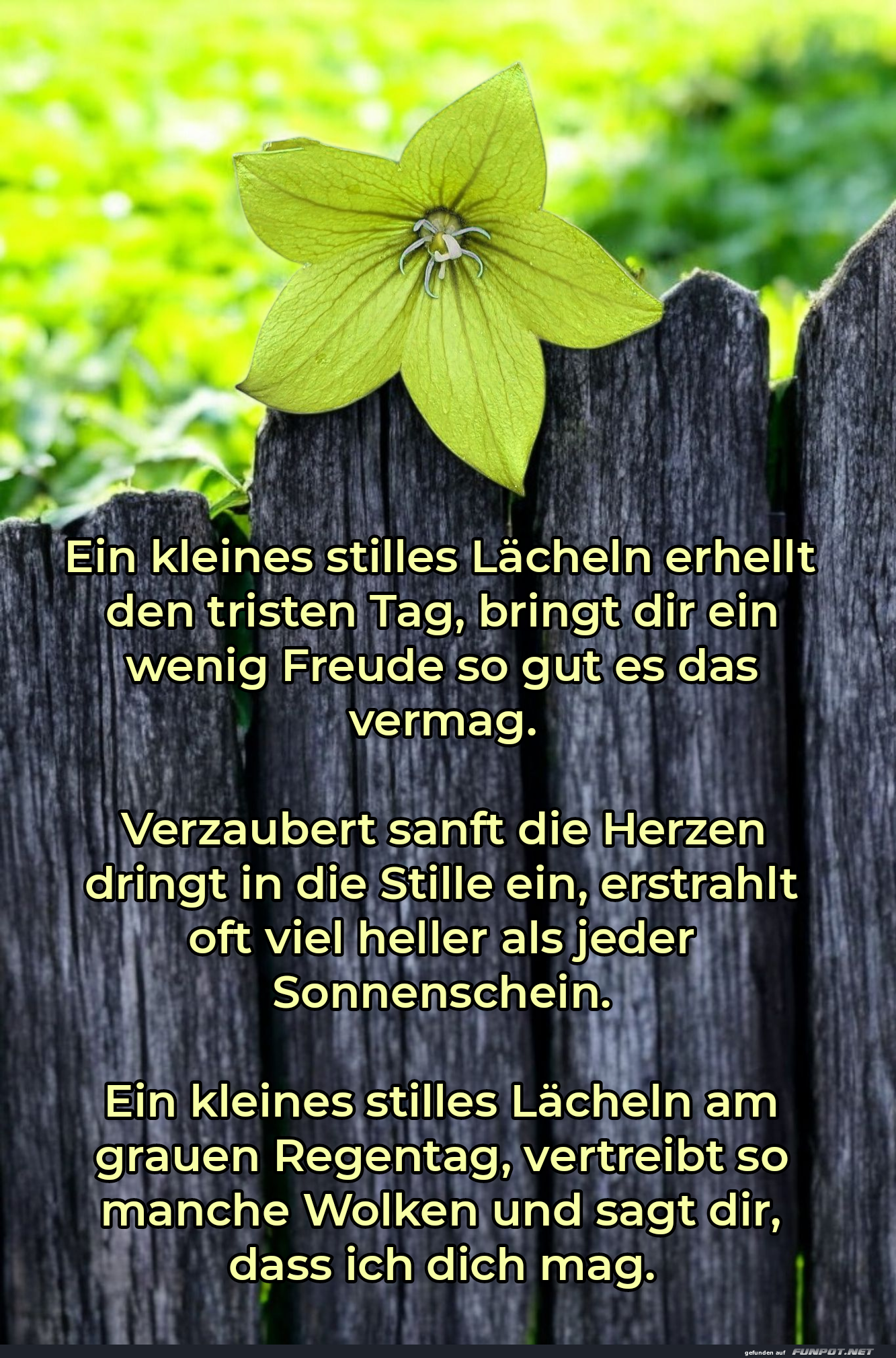 ein kleines stilles lächeln ein kleines stilles lächeln