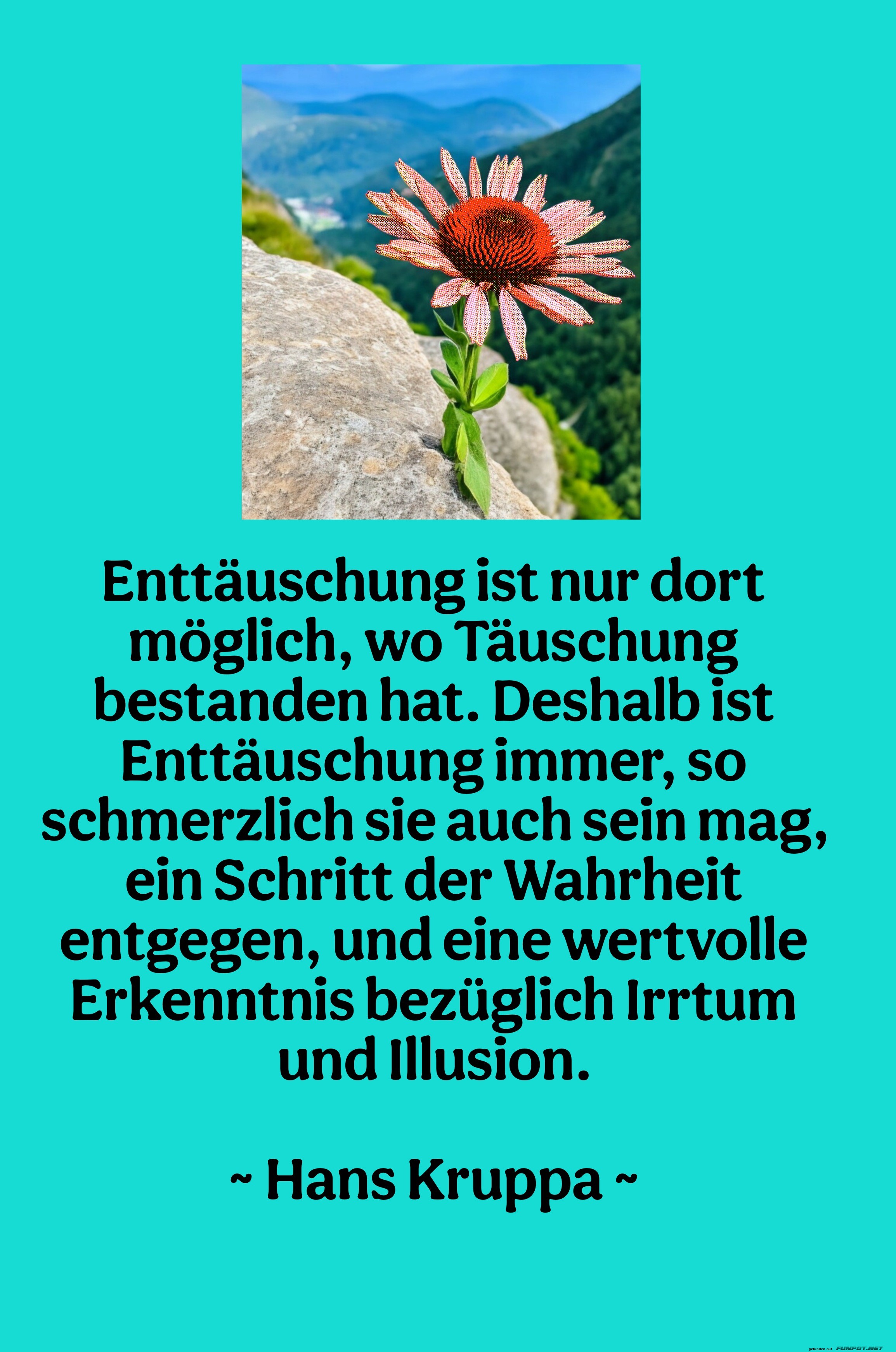 enttäuschung ist nur dort enttäuschung ist nur dort