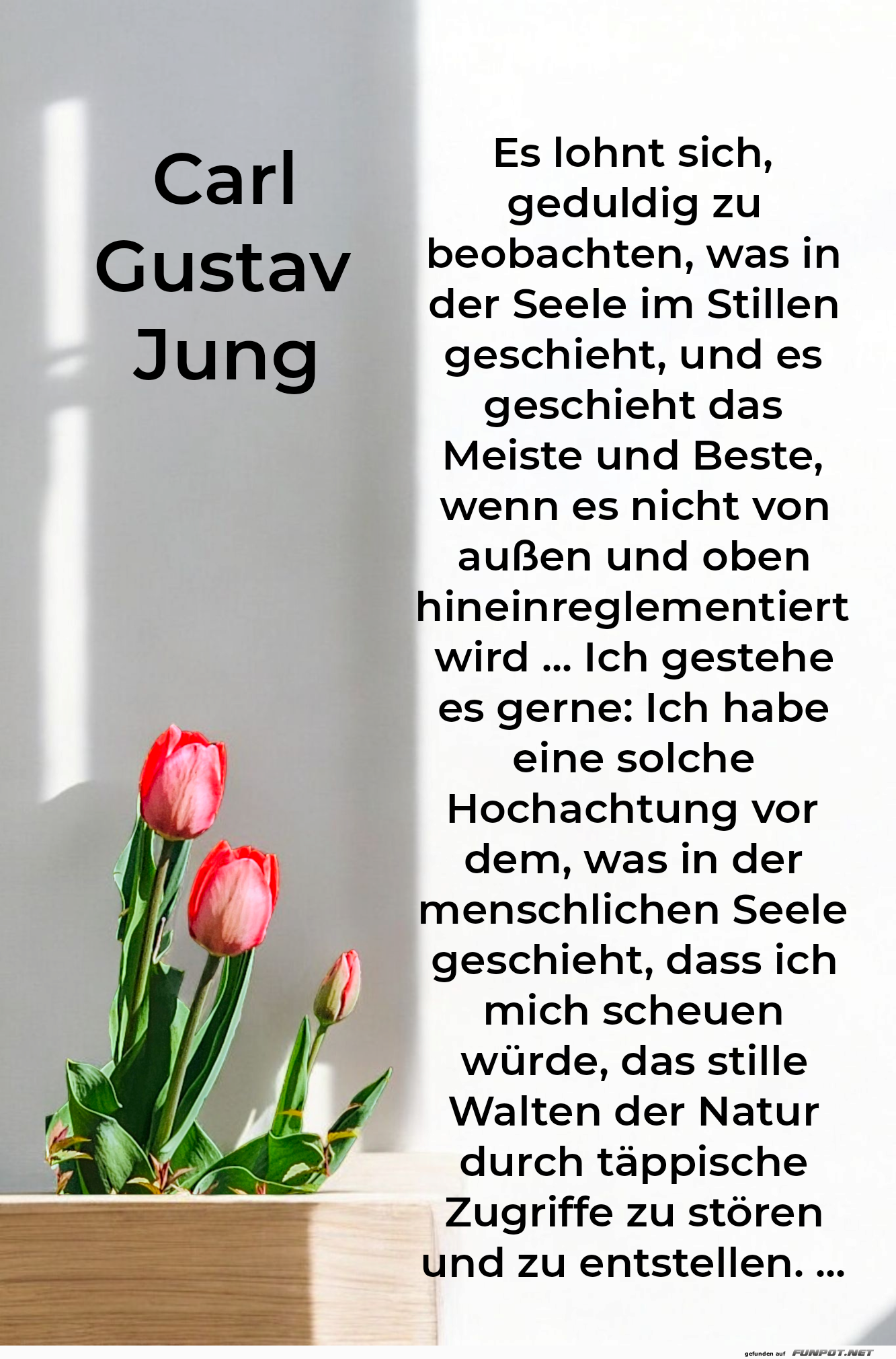 es lohnt sich es lohnt sich