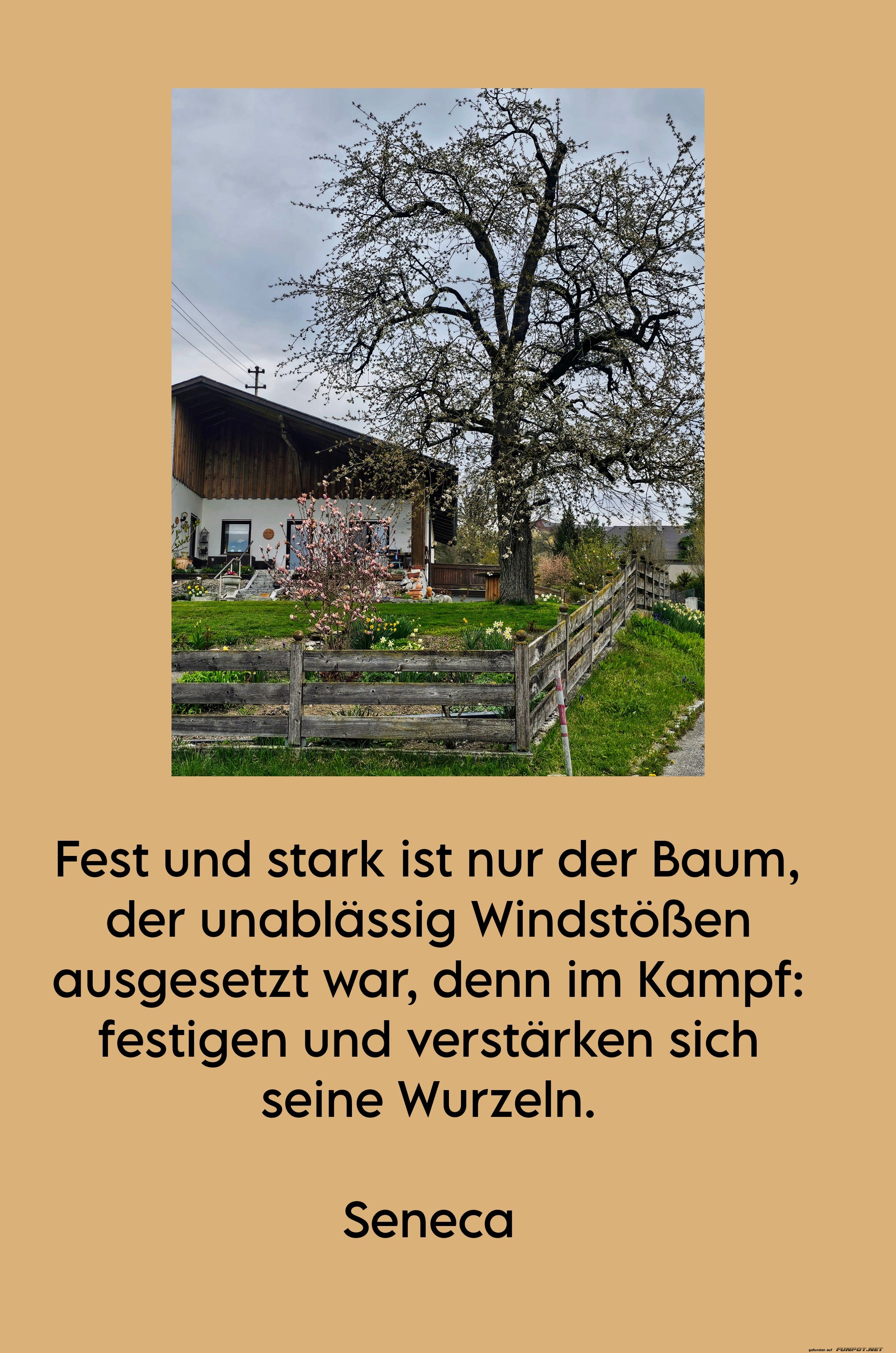 fest und stark