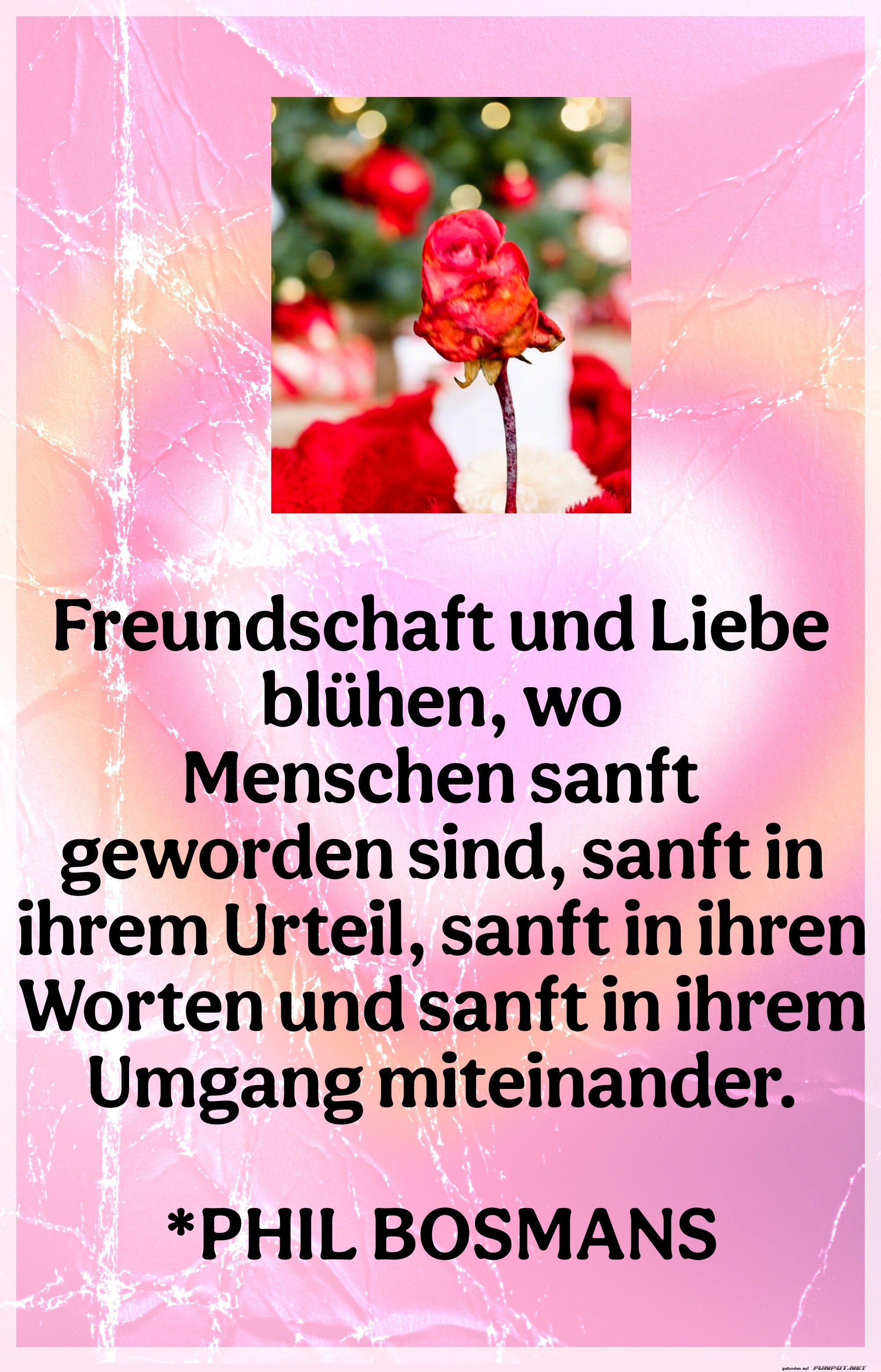 freundschaft und liebe blhen