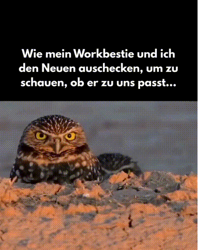 Erst mal abchecken Erst mal abchecken